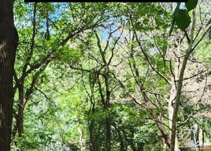 Exceptional - Gara De Nord Βουκουρέστι